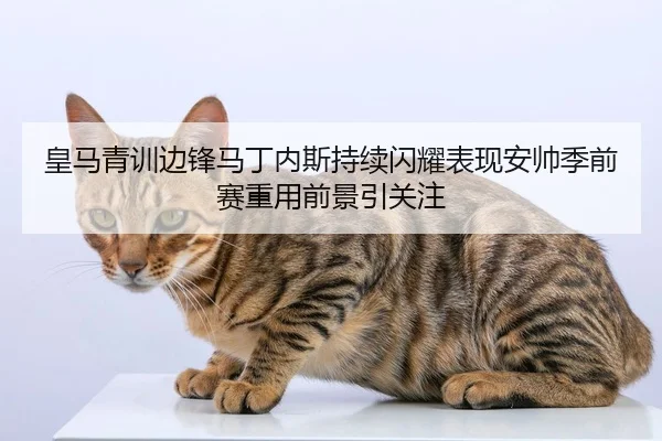 皇马青训边锋马丁内斯持续闪耀表现安帅季前赛重用前景引关注