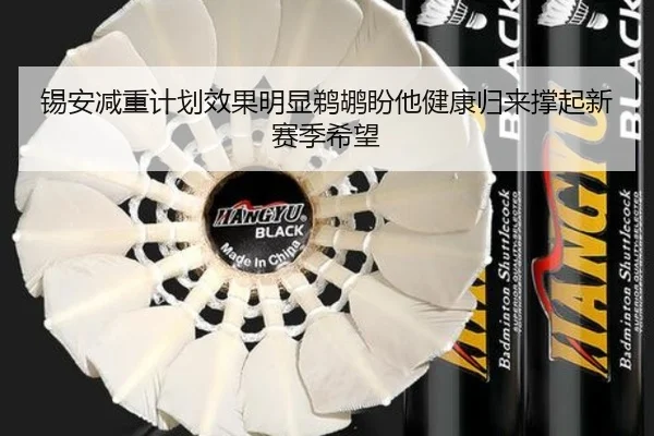 锡安减重计划效果明显鹈鹕盼他健康归来撑起新赛季希望